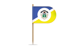 温尼伯旗帜桌旗