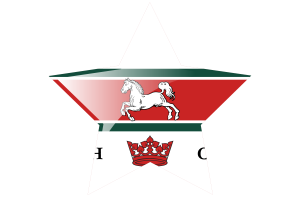 圭尔夫旗星图标