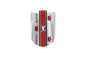 圭尔夫旗帜矢量免费下载 （SVG， PNG）