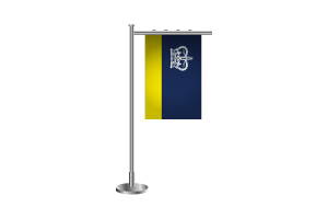 3d 里贾纳站旗