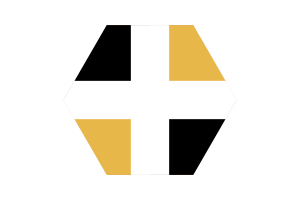 莱维斯旗帜矢量免费|SVG 和 PNG