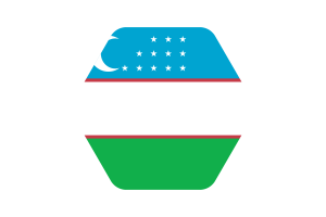 乌兹别克斯坦国旗矢量插图