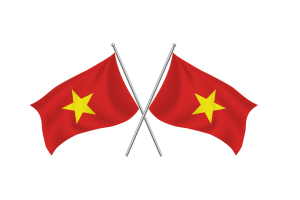 越南 挥舞友谊旗帜