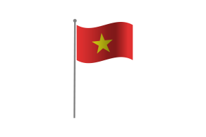 挥舞着越南旗