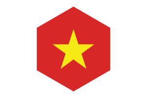 越南标志六边形形状