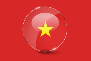 越南旗帜光面圆形按钮