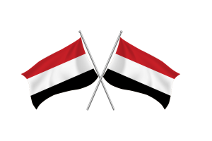 也门挥舞友谊旗帜