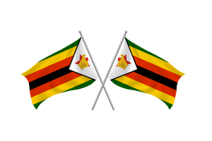 津巴布韦挥舞友谊旗帜
