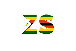 津巴布韦货币图标