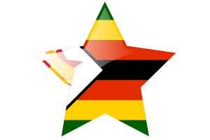 津巴布韦国旗星图标