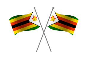 津巴布韦友谊旗帜
