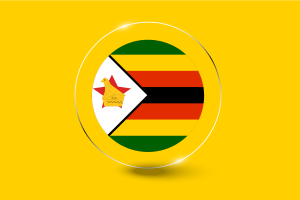 津巴布韦国旗光泽圆形按钮