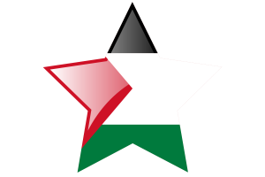 巴勒斯坦国旗星图标