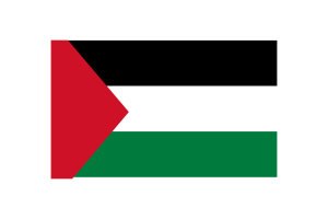 巴勒斯坦国旗三角形矢量插图