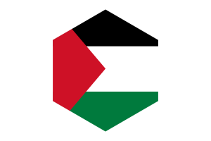 巴勒斯坦国旗六边形