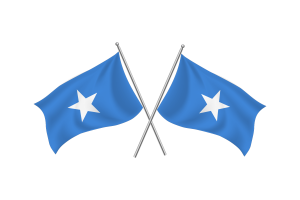 索马里挥舞友谊旗帜