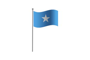 挥舞着索马里国旗