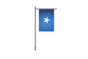 3d 索马里站立旗