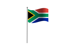 挥舞着南非国旗
