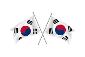 韩国挥舞友谊旗帜