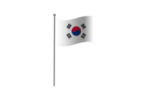 挥舞着韩国国旗