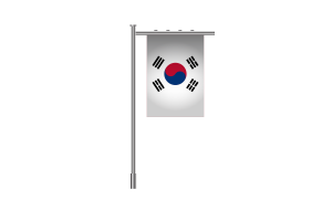 3d 韩国站立旗