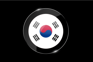 韩国国旗光泽圆形按钮