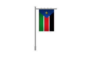 3d 南苏丹站旗