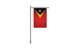 3d 东帝汶站立旗