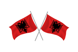 阿尔巴尼亚挥舞友谊旗帜