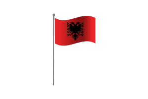 挥舞着阿尔巴尼亚国旗