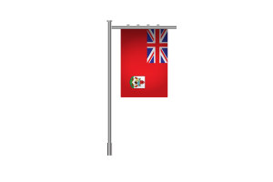 3d 百慕大站立旗