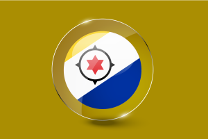 博内尔岛旗帜光面圆形按钮