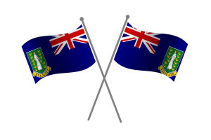 英属维尔京群岛友谊旗帜