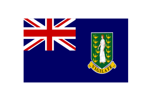 英属维尔京群岛旗帜三角形矢量插图