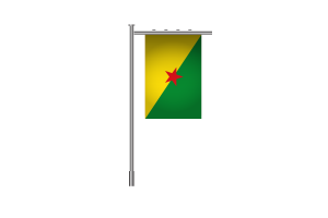 3d 法属圭亚那站旗