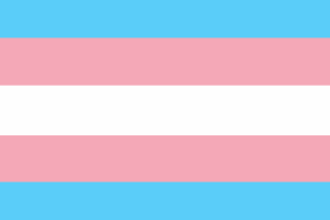 跨性别者旗帜