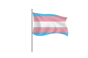 跨性别旗帜符号