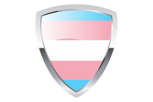 跨性别盾旗