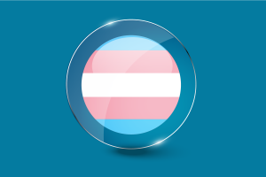 跨性别旗帜光泽圆形按钮
