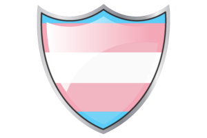 盾牌与跨性别者旗帜