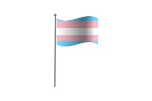 挥舞着跨性别者的旗帜