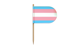 跨性别旗帜桌旗