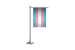 3d 跨性别站立旗