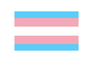 跨性别旗帜矢量插图