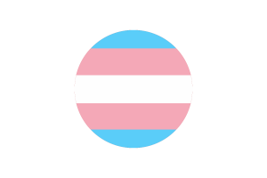 跨性别旗帜矢量免费下载