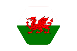 威尔士旗帜矢量插图