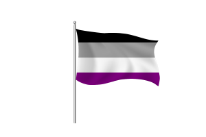 无性恋群体旗帜符号