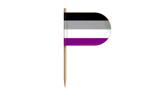 无性恋群体标志桌旗