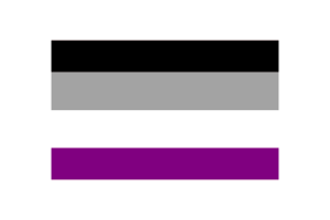 无性恋群体旗帜矢量插图